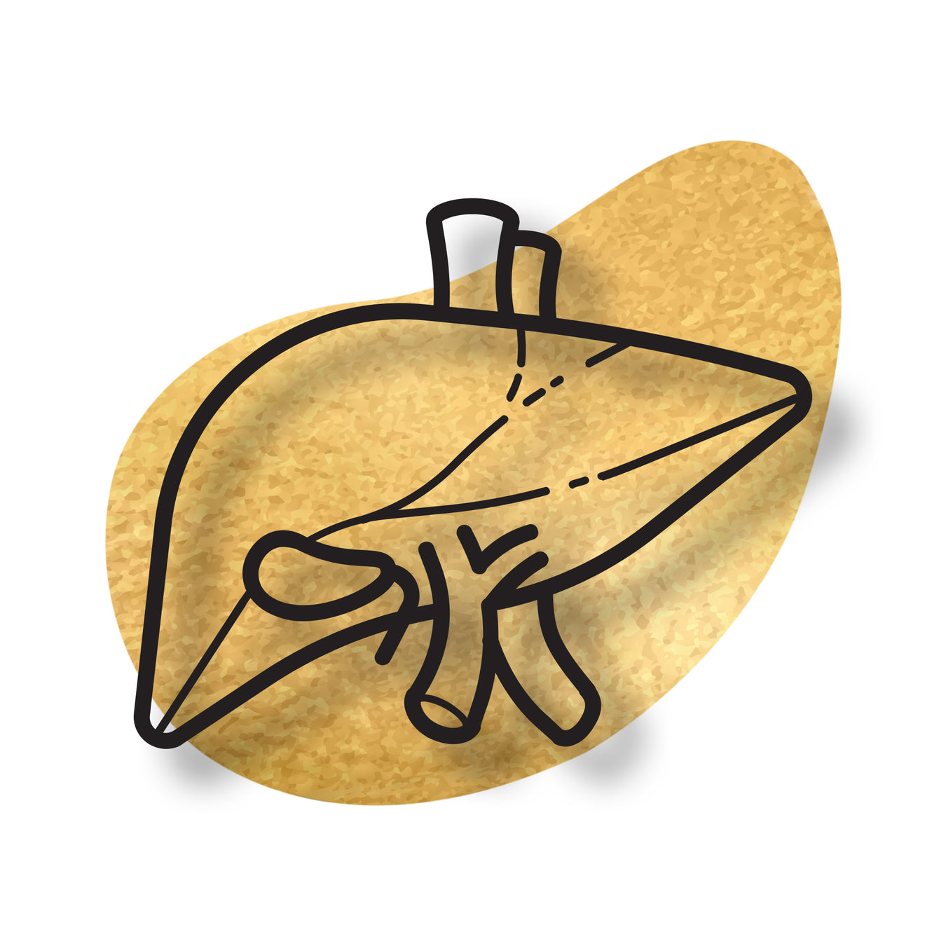Liver
