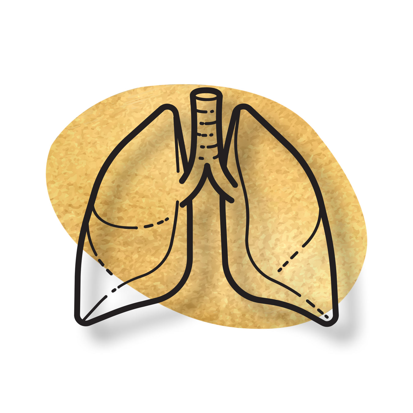 Lungs