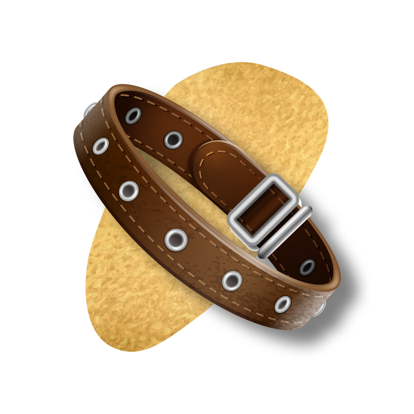 Pet Accessories
