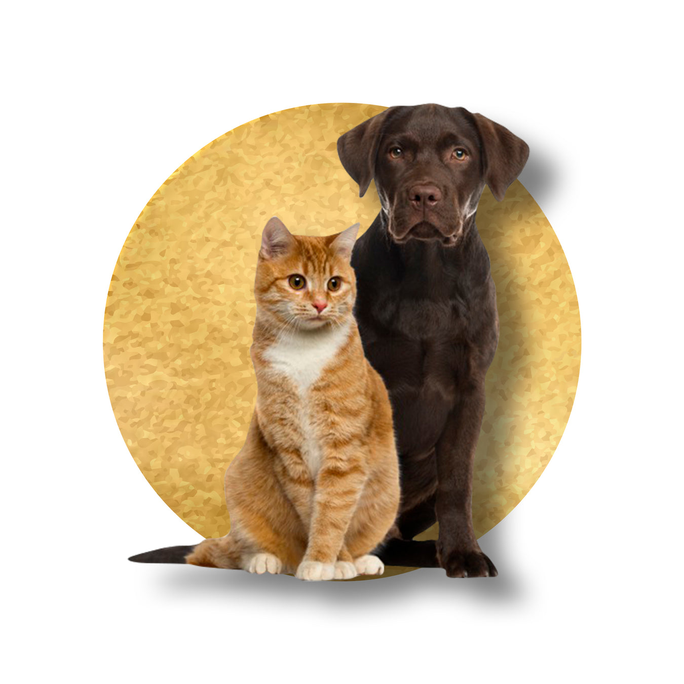 Pets Health
